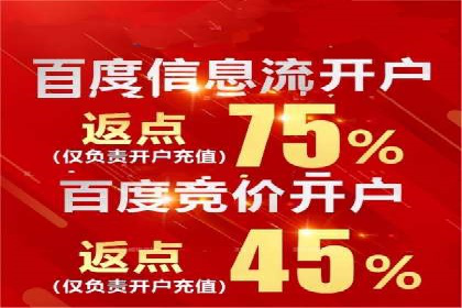 行业领先企业的sem竞价策略：成功案例剖析